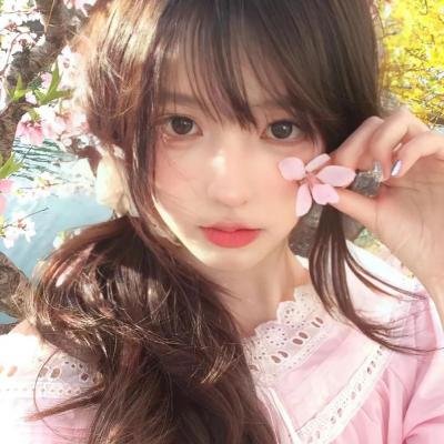 猫贼